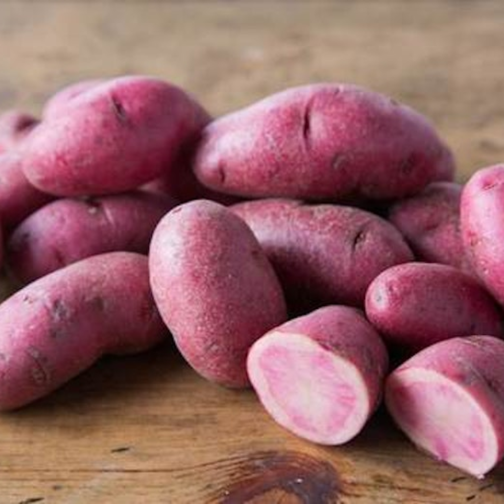 POTATO LITTLE FINGERLING CAN 1.5 LBS