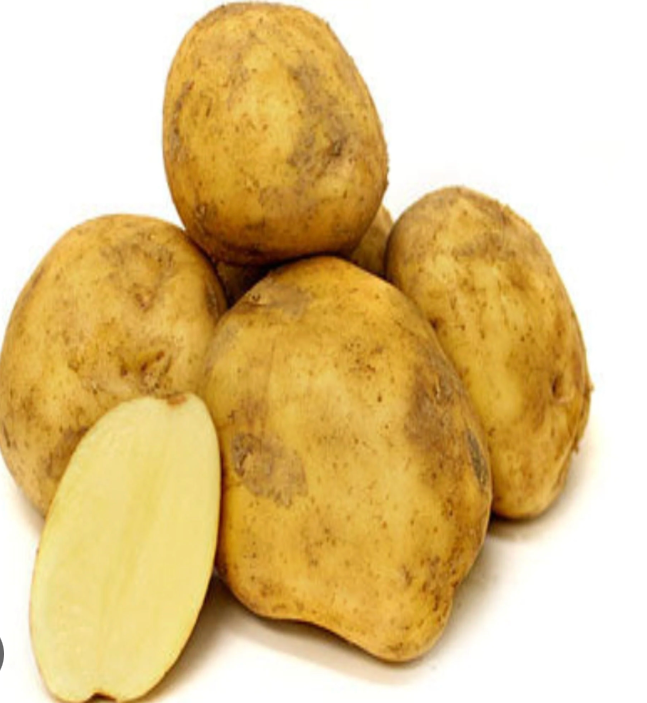 POTATO KENNEBEC 50 LBS CS