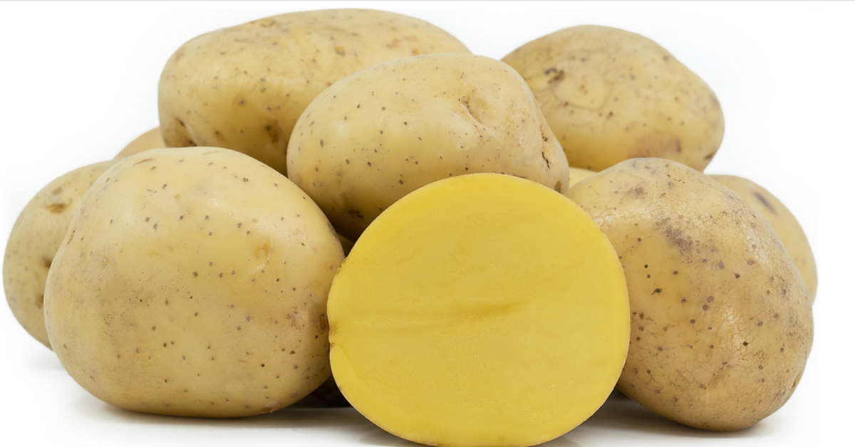 POTATO YUKON GOLD NUGGET BC 50 LBS CS