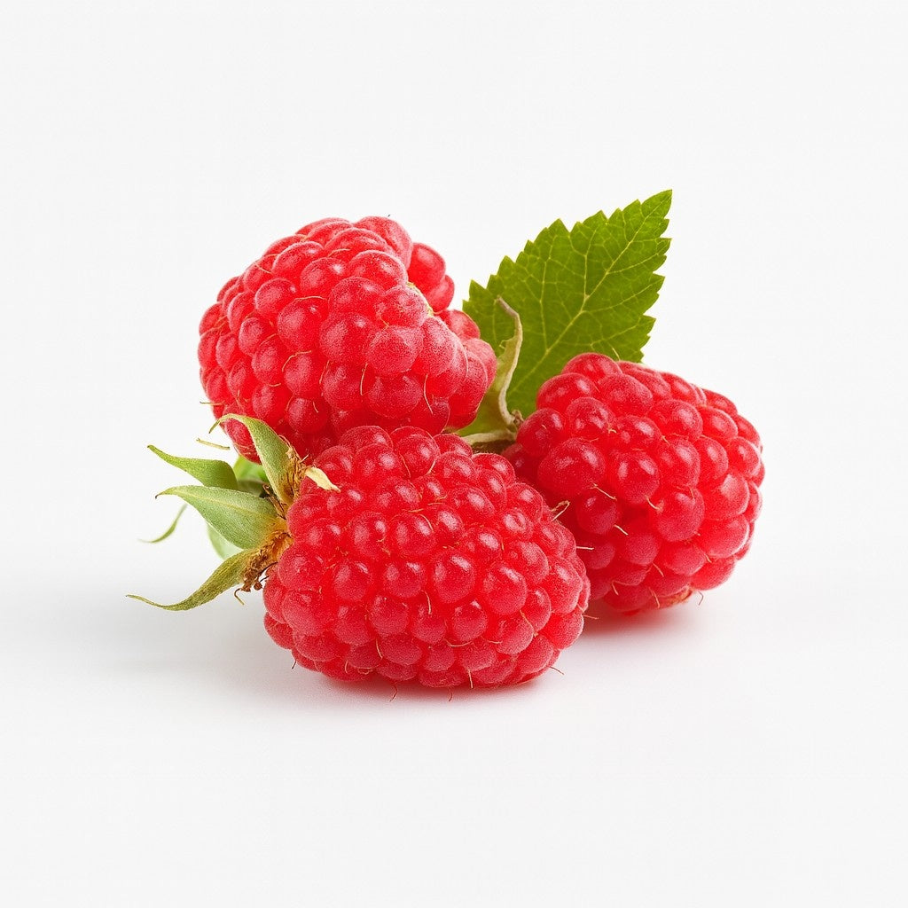 RASPBERRIES FRESH BOX 12X6 OZ CS