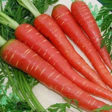 CARROTS RED LBS