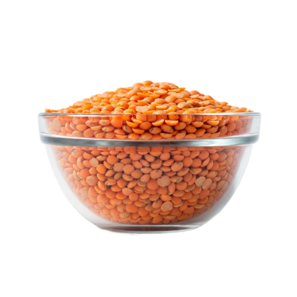 RED SPLIT LENTILS 10 LBS