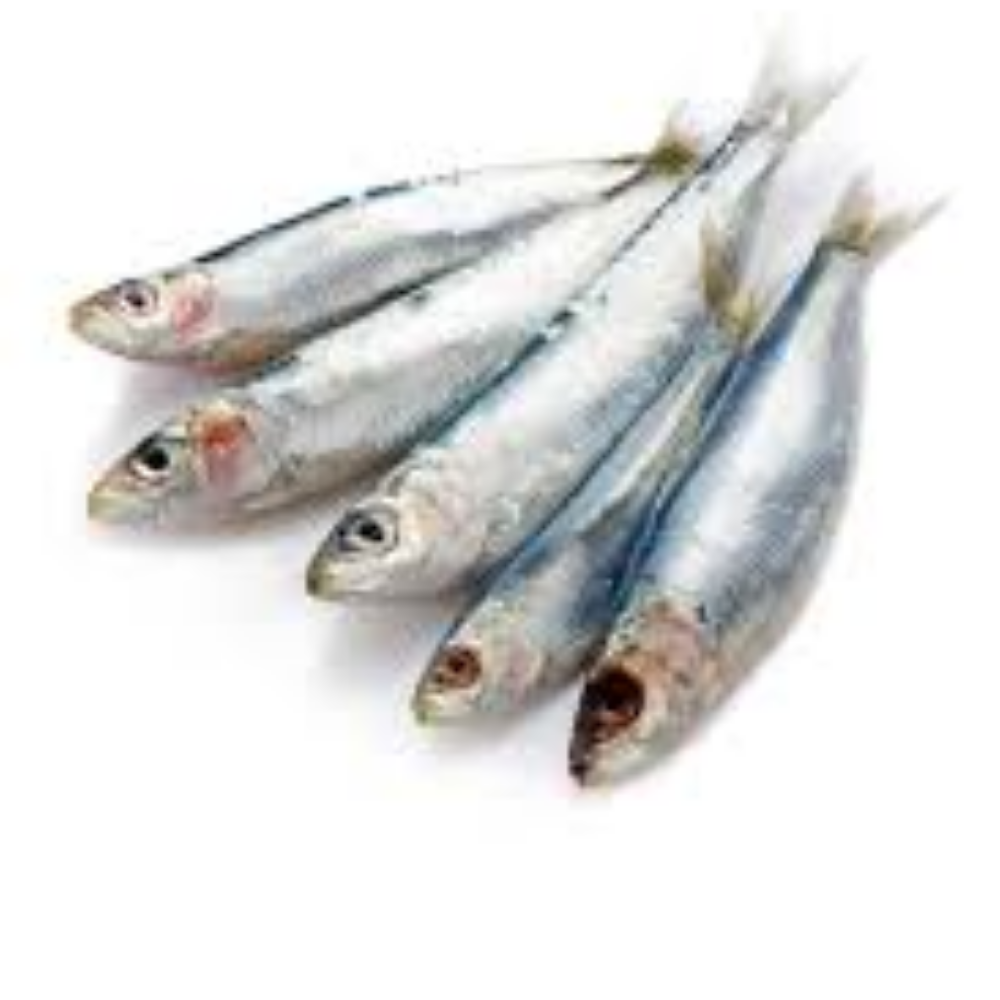SARDINES 2 LBS