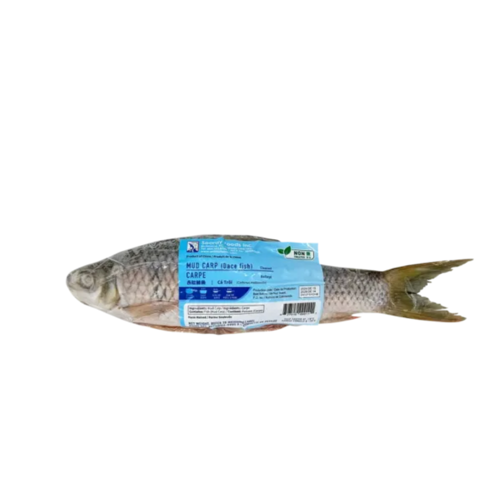 SEARAY INDIAN MACKEREL 500 GM