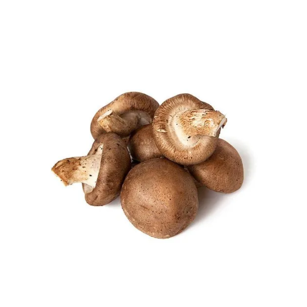 SHITAKE MUSHROOM NIKUATSU 5 LBS BAG