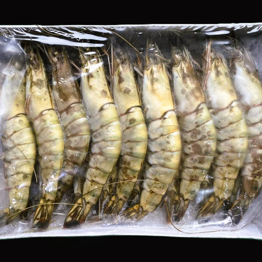 SHRIMP BLACK TIGER PTO SEARAY (16/20) 1 LB