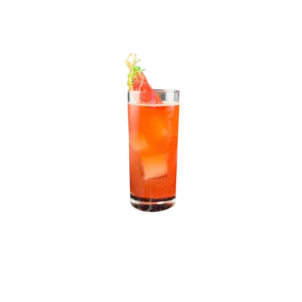 SICILLIAN BLOOD ORANGE SODA