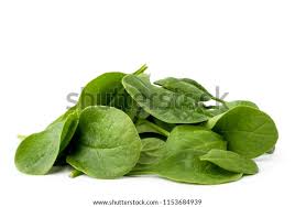 SPINACH CLIPPED AZ/CA FRESH EACH