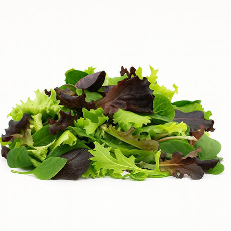Product 9049237389517 Image