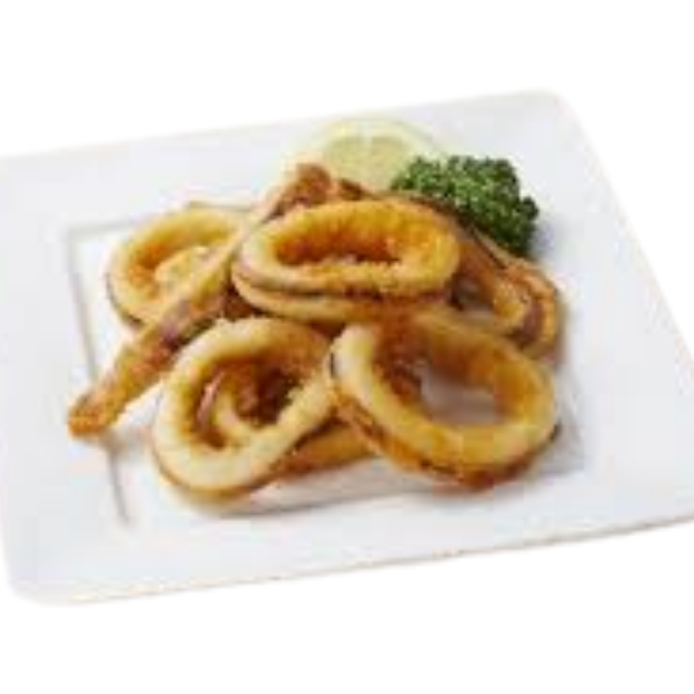 SQUID RING 300G