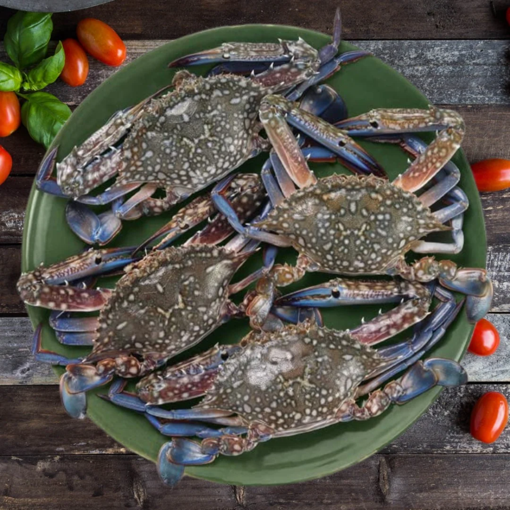 SWIMMING CRAB 500G