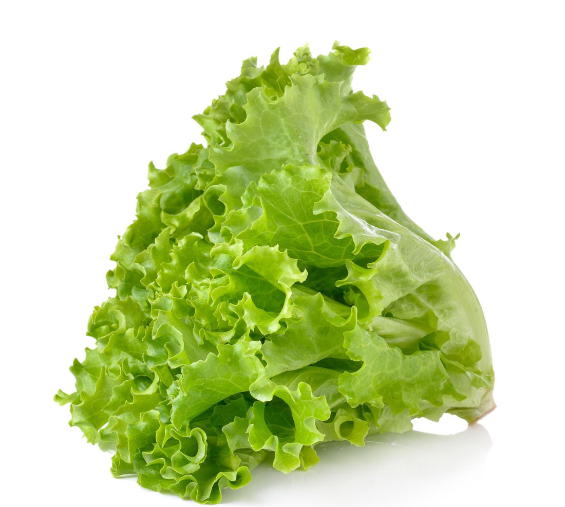 C-LETTUCE GREEN LEAF FRESH BC 24 CTN CS