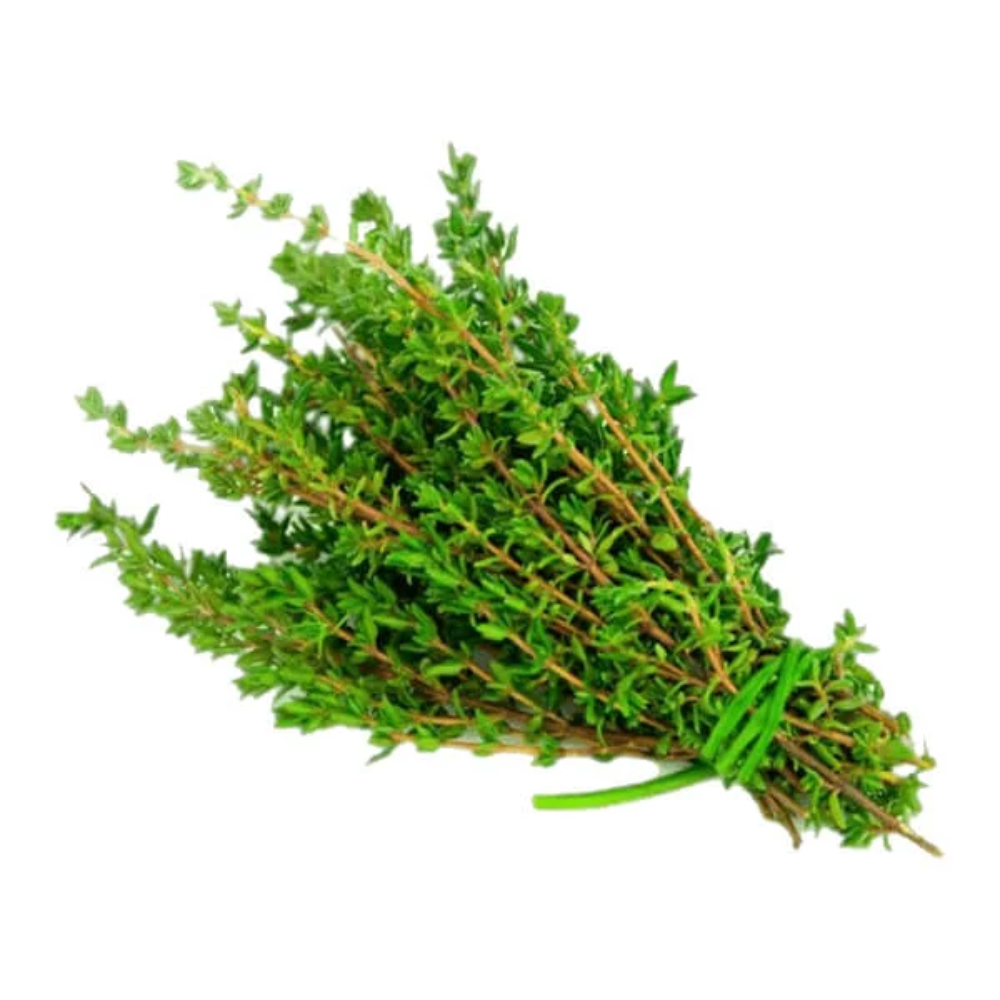 THYME FRESH BC/US/MX 12'S