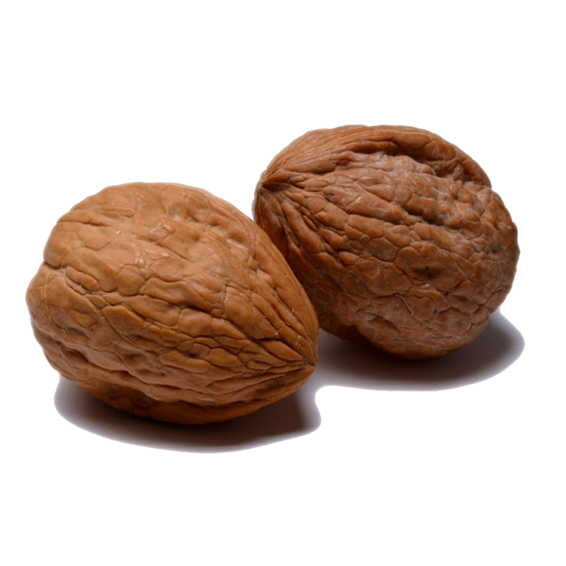 Product 9053375168717 Image