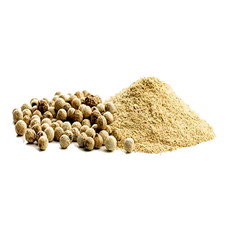Product 9050909999309 Image