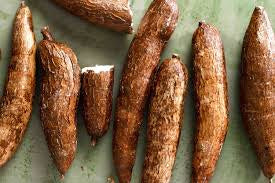 YUCA FRESH LBS