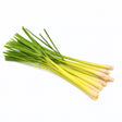 Product 9053315596493 Image