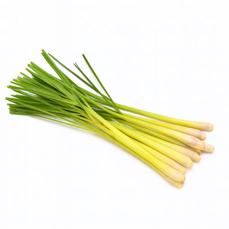 Product 9053315596493 Image