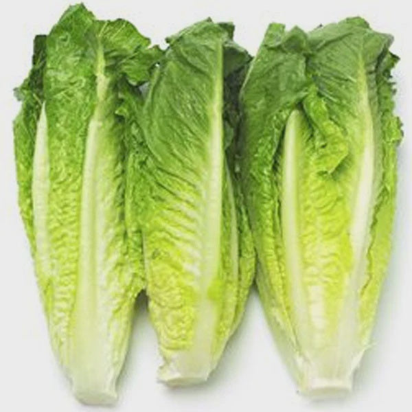 ROMAINE HEARTS FRESH