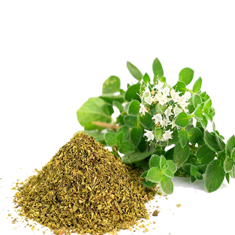 Product 9049248104653 Image