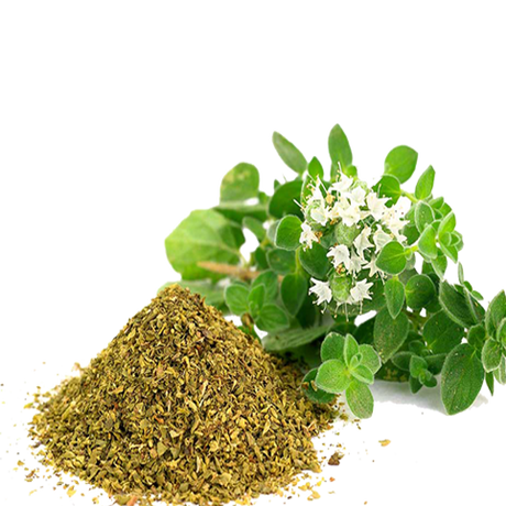 Product 9049248104653 Image